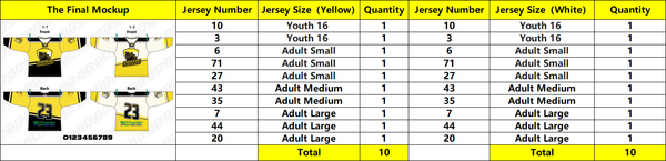 Barron Chetek Youth Hockey Custom Sublimated Hockey Jerseys 2026