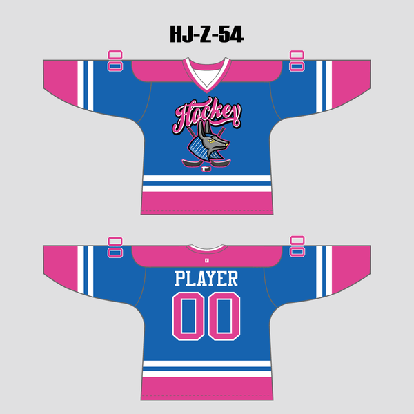 HJZ54 Blue and Pink Custom Sublimated Hockey Jerseys - YoungSpeeds